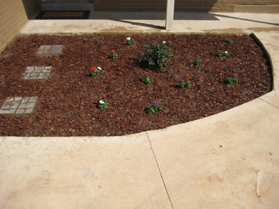 Front Flowerbed After Redesign